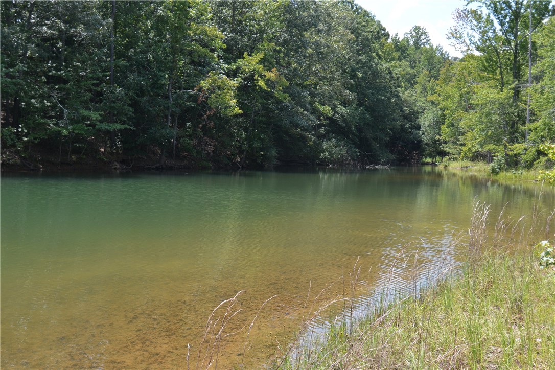 290 Beaver Lodge Road Hartwell, GA 30643 - Photo 7 of 15 Gallery Image 7