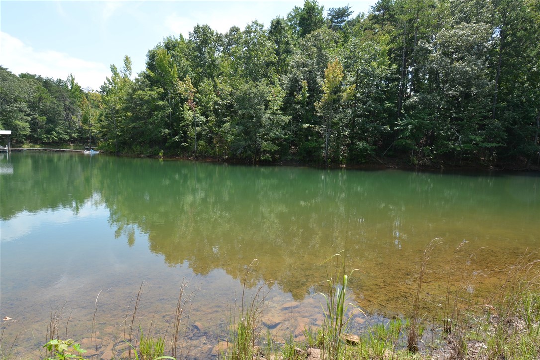 290 Beaver Lodge Road Hartwell, GA 30643 - Photo 8 of 15 Gallery Image 8