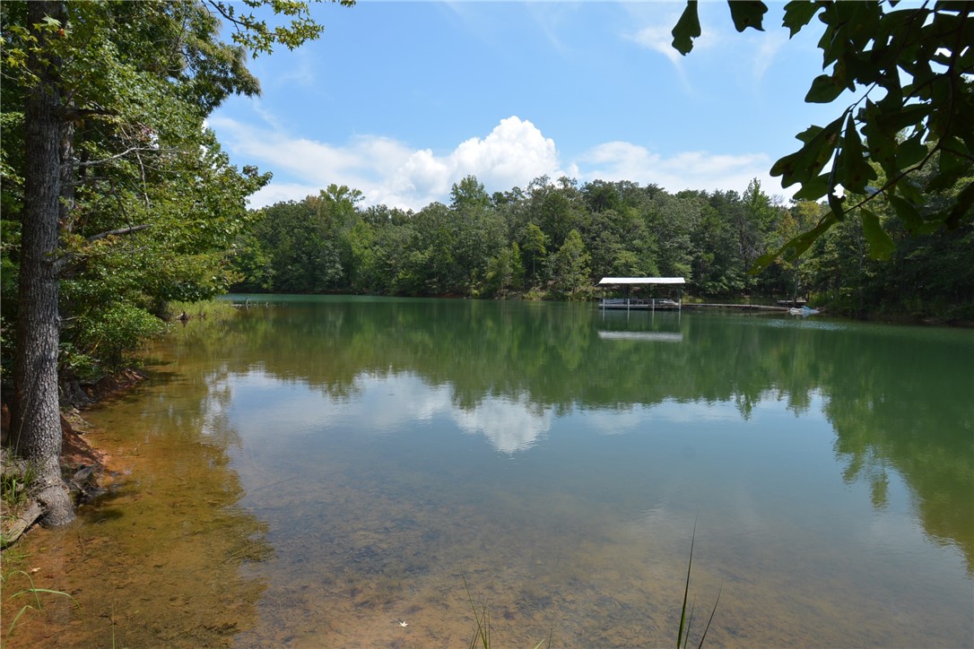 290 Beaver Lodge Road Hartwell, GA 30643 - Photo 9 of 15 Gallery Image 9