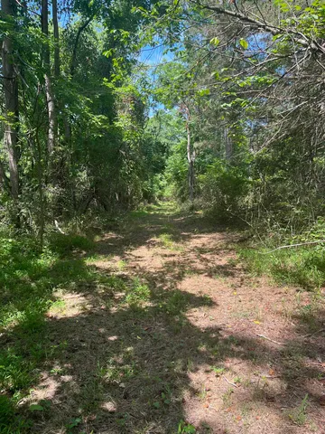 a view of a yard with a tree