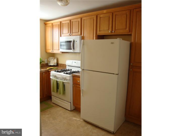 7842 Rugby Street Philadelphia, PA 19150 - Photo 6 of 17 Kitchen