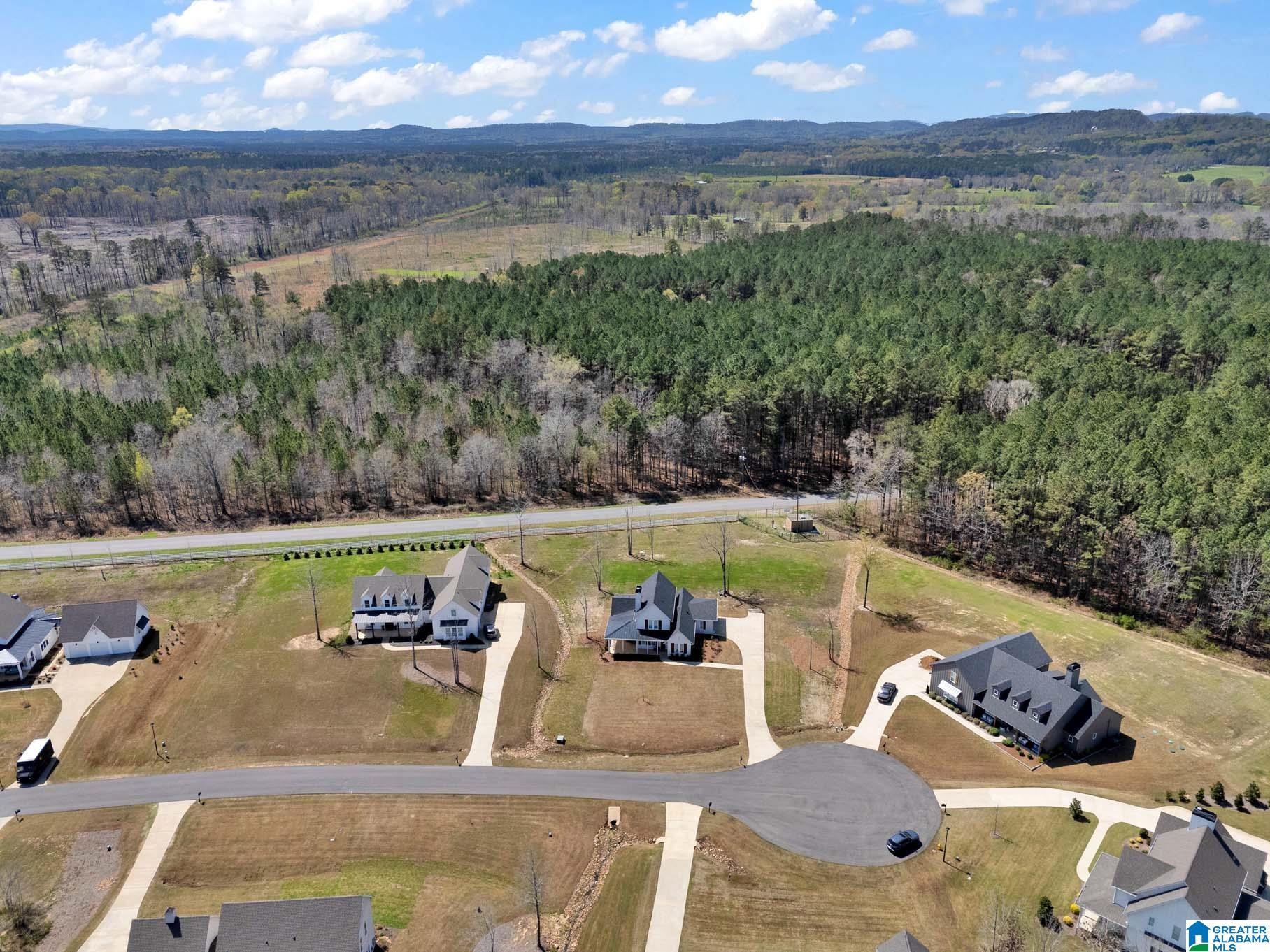 65 Stonewood Lane Springville, AL 35146 - Photo 32 of 33
