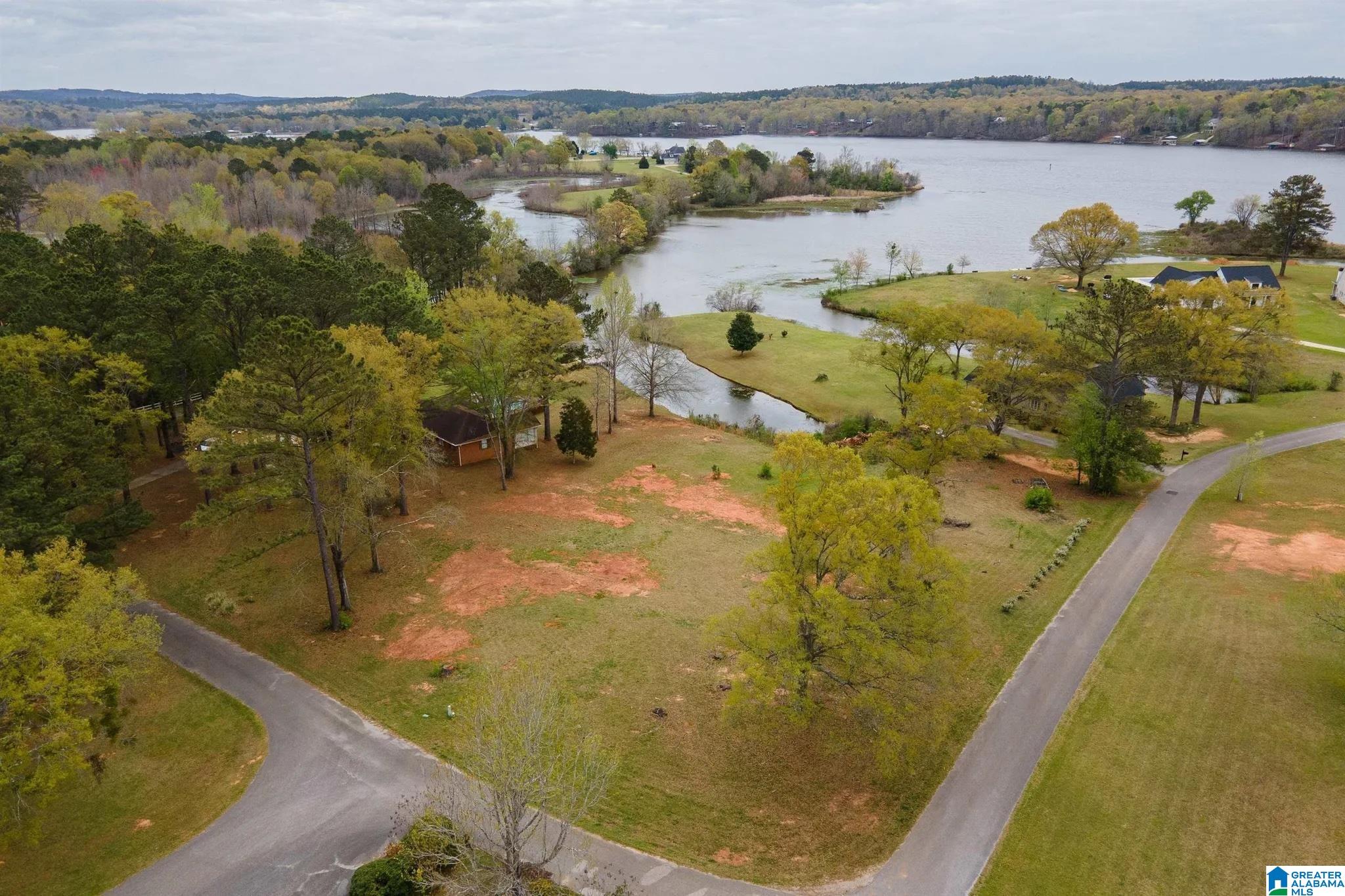 161 Carleton Point Lane, Unit 10 Wilsonville, AL 35186 - Photo 3 of 4