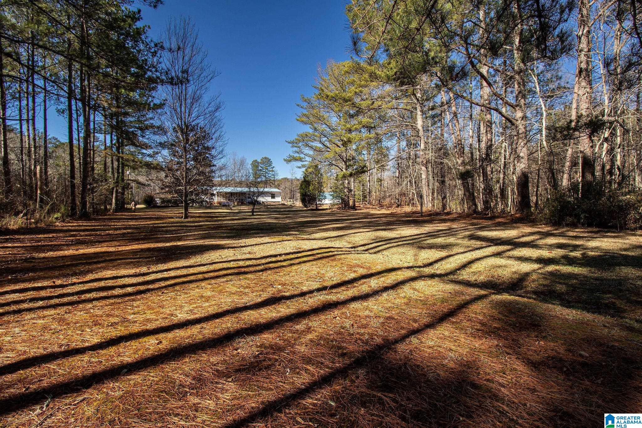 1809 Blue Ridge Road Lineville, AL 36266 - Photo 47 of 69