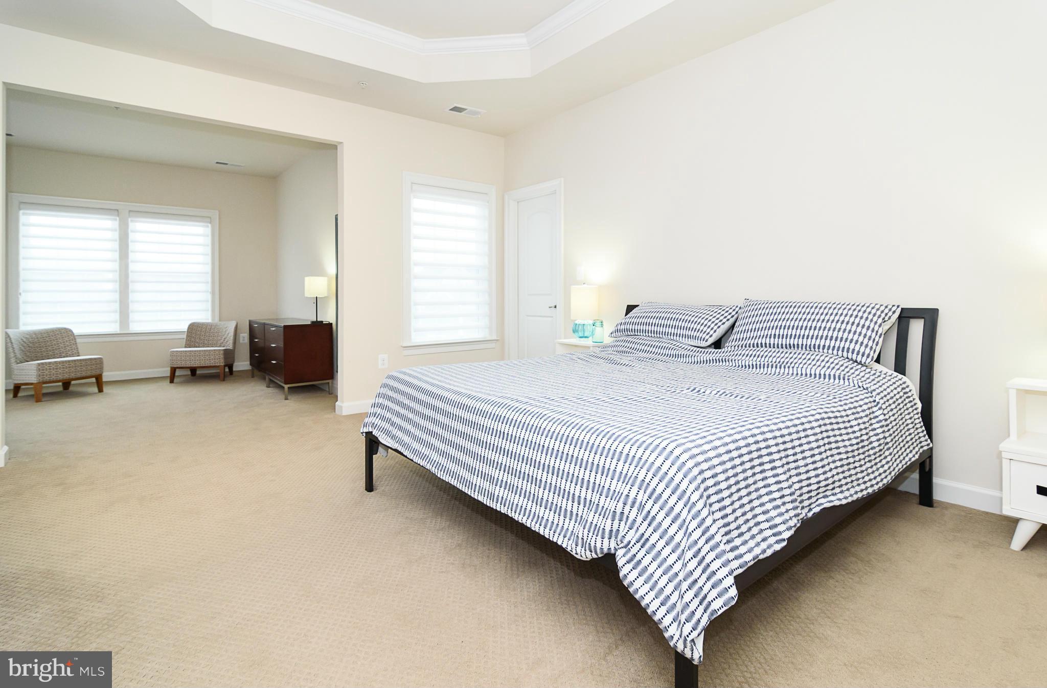 7610 Spring Avenue Fulton, MD 20759 - Photo 14 of 29 Master Bedroom with Tray ceiling