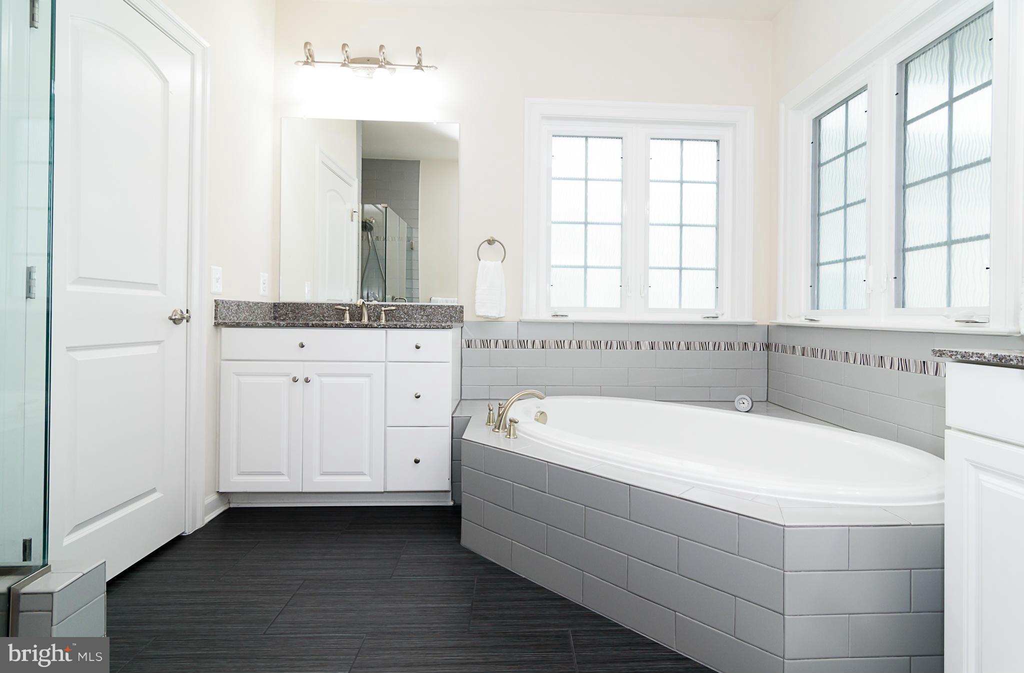 7610 Spring Avenue Fulton, MD 20759 - Photo 16 of 29 Master Bath