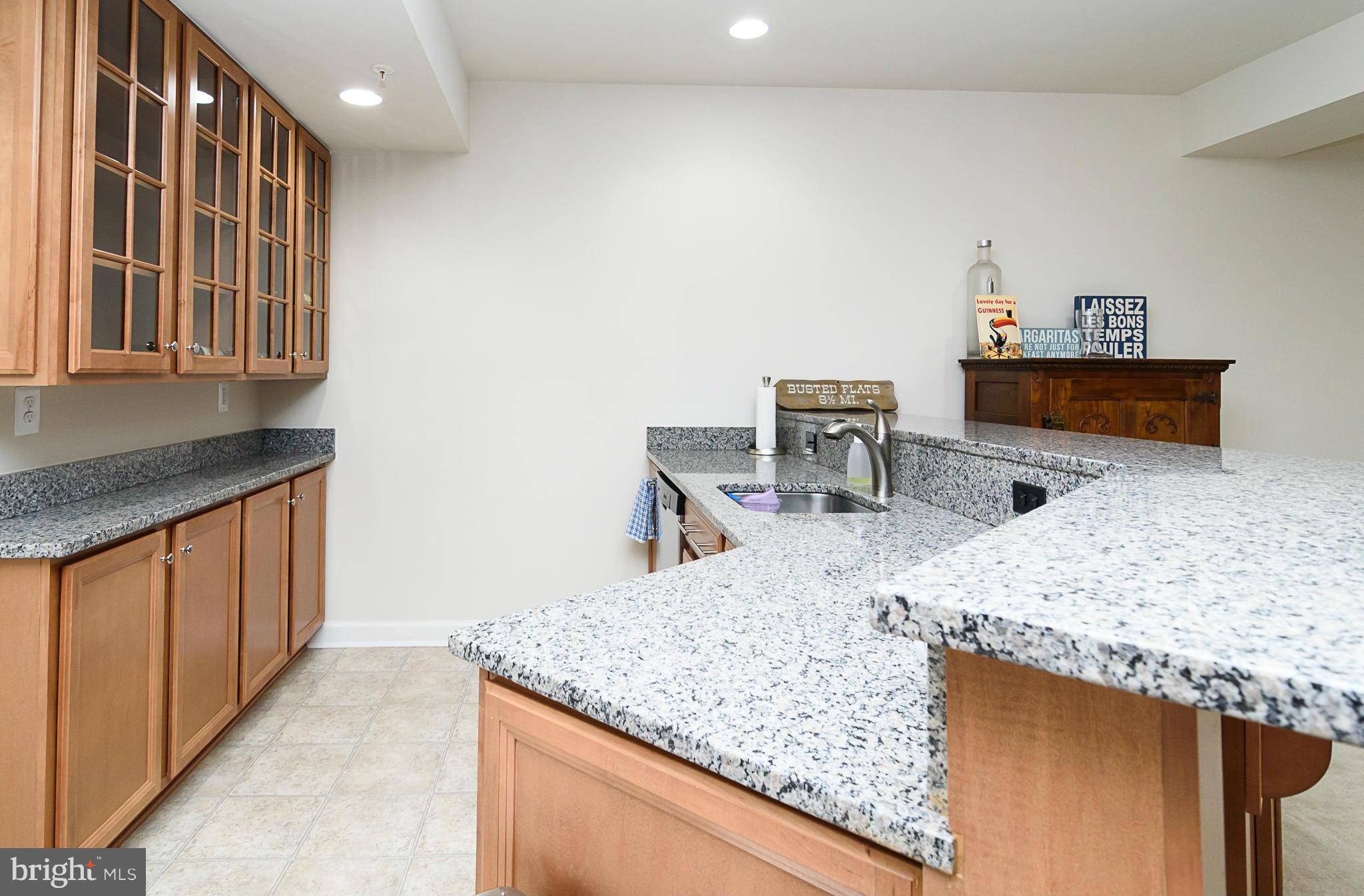 7610 Spring Avenue Fulton, MD 20759 - Photo 22 of 29 Rec Room Bar