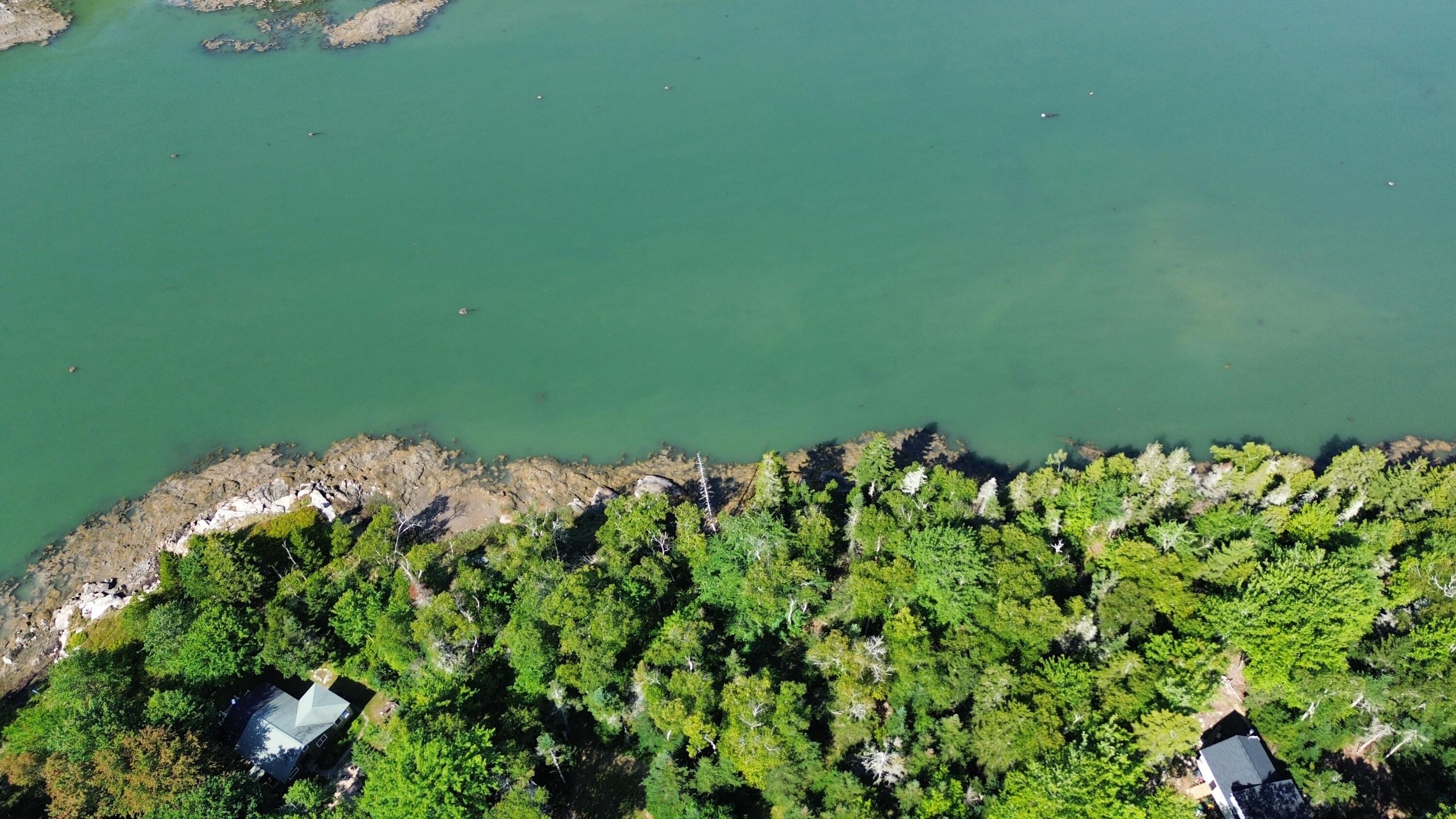 Lot 5 Tom Leighton Point Road Milbridge, ME 04658 - Photo 5 of 22 dji_fly_20260830_102544_94_1788099630961