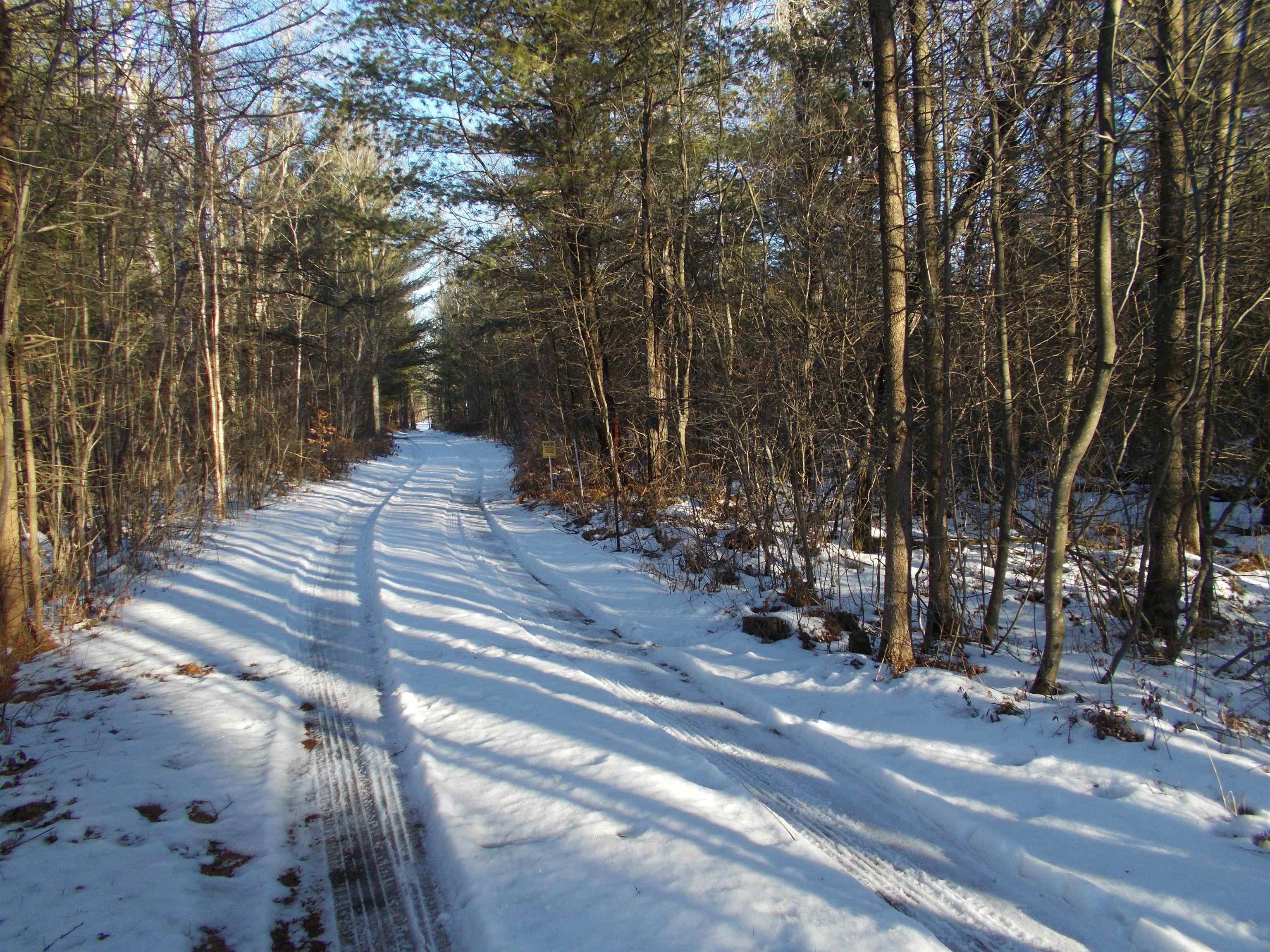 0 East County Line Road Whittemore, MI 48770 - Photo 13 of 22