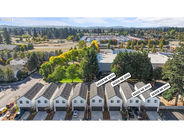 a view of a city with a mountain