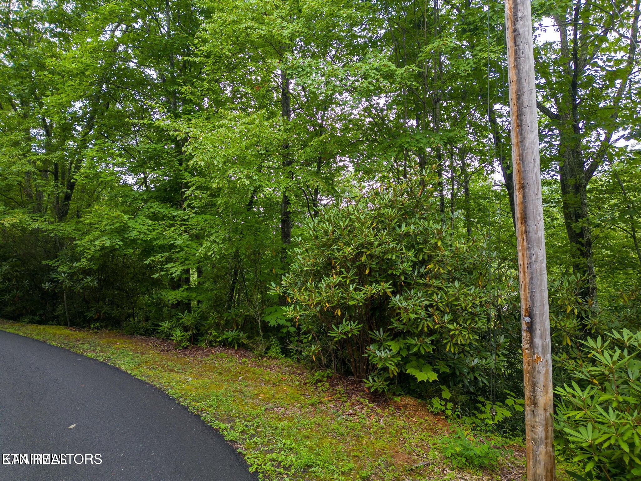 Black Gum Gap Road Gatlinburg, TN 37738 - Photo 2 of 6 20230805174116905843000000-o