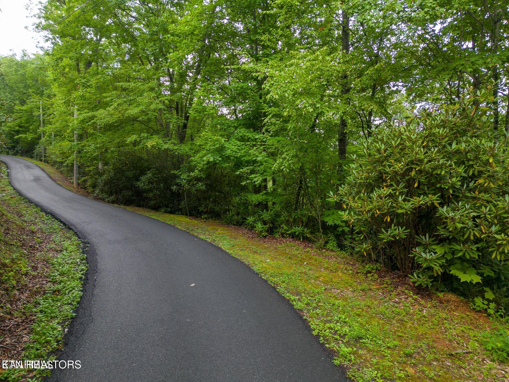 Black Gum Gap Road Gatlinburg, TN 37738 - Photo 6 of 6 20230805174104281308000000-o