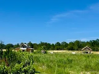 a view of a green field with clear sky
