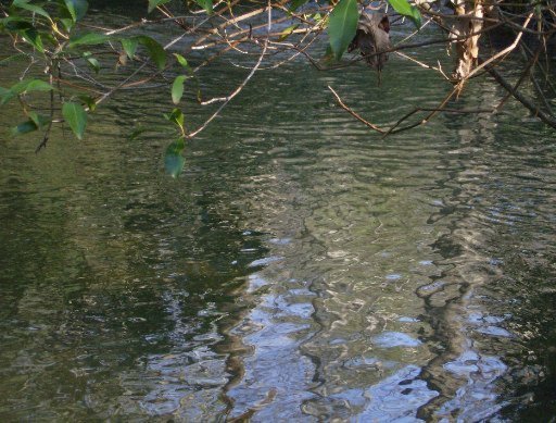 1412 Old Bean Shed Road Clarkrange, TN 38553 - Photo 22 of 31 Additional Photo