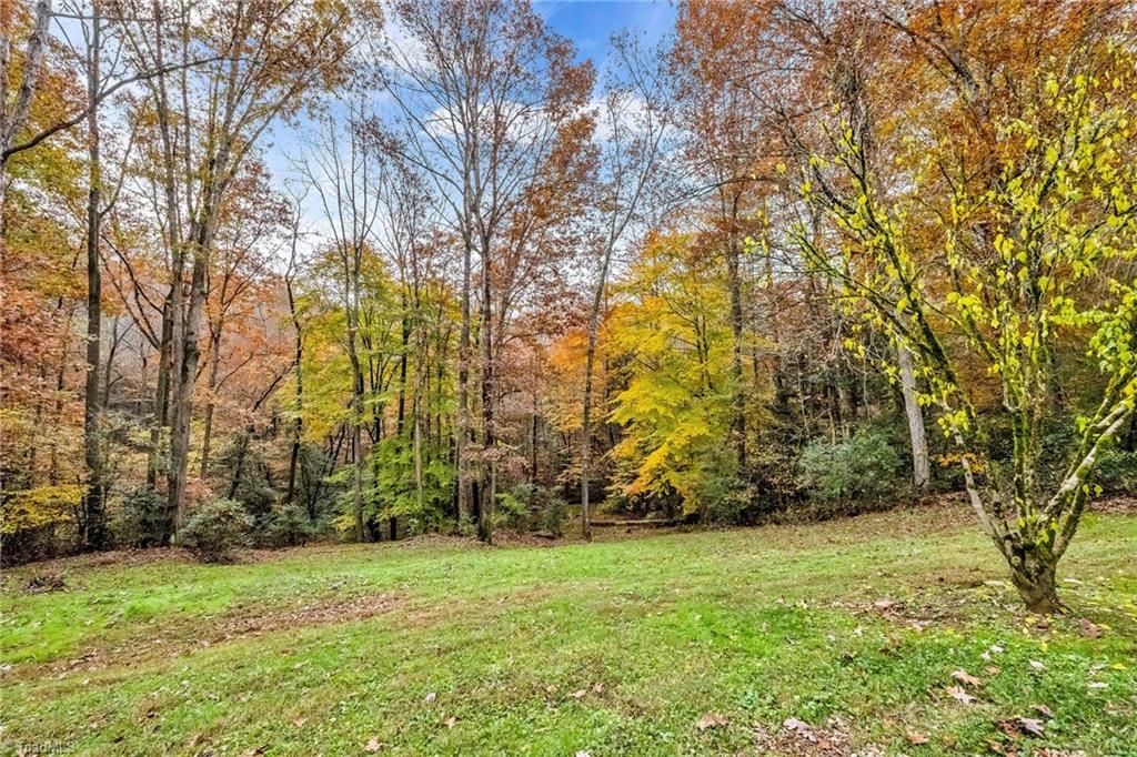 222 Mill Ridge Road North Wilkesboro, NC 28659 - Photo 41 of 43 Gallery Image 41