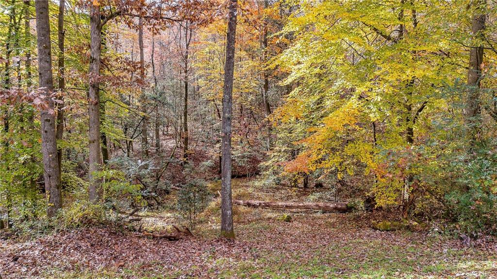 222 Mill Ridge Road North Wilkesboro, NC 28659 - Photo 42 of 43 Gallery Image 42