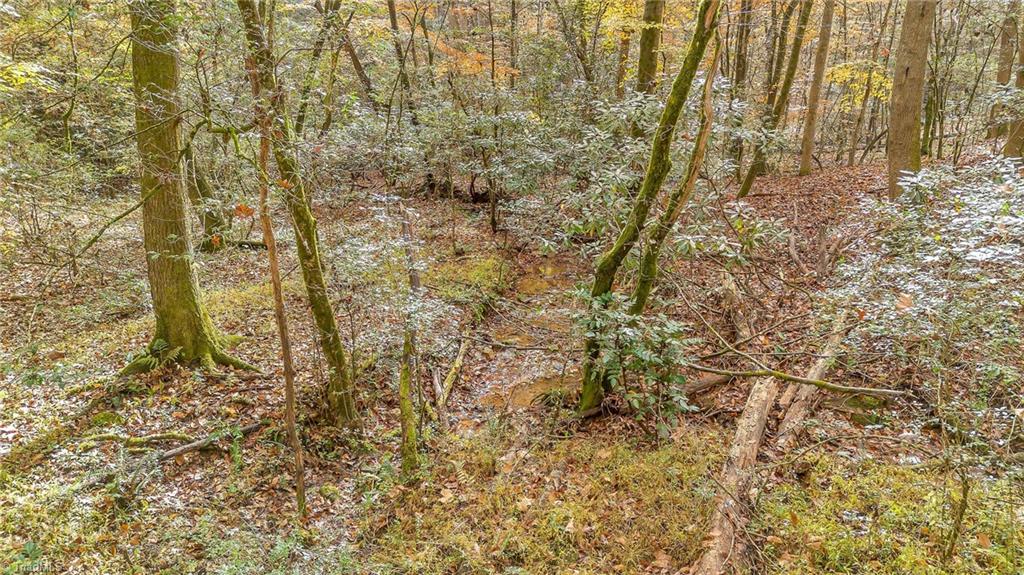 222 Mill Ridge Road North Wilkesboro, NC 28659 - Photo 43 of 43 Gallery Image 43