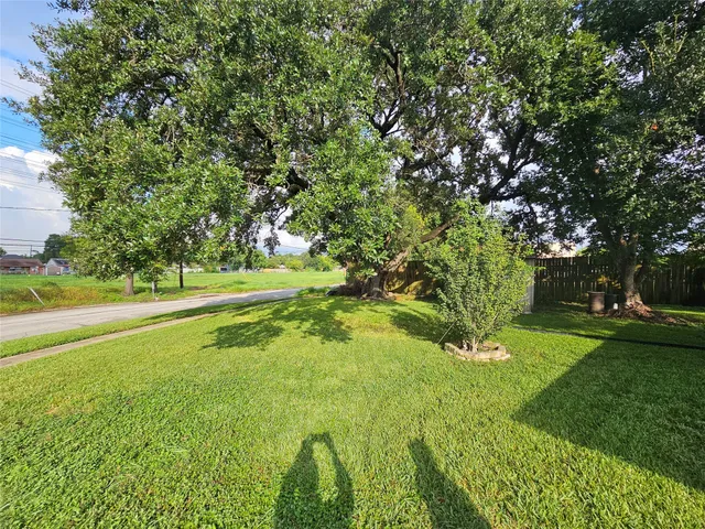a view of field with large trees