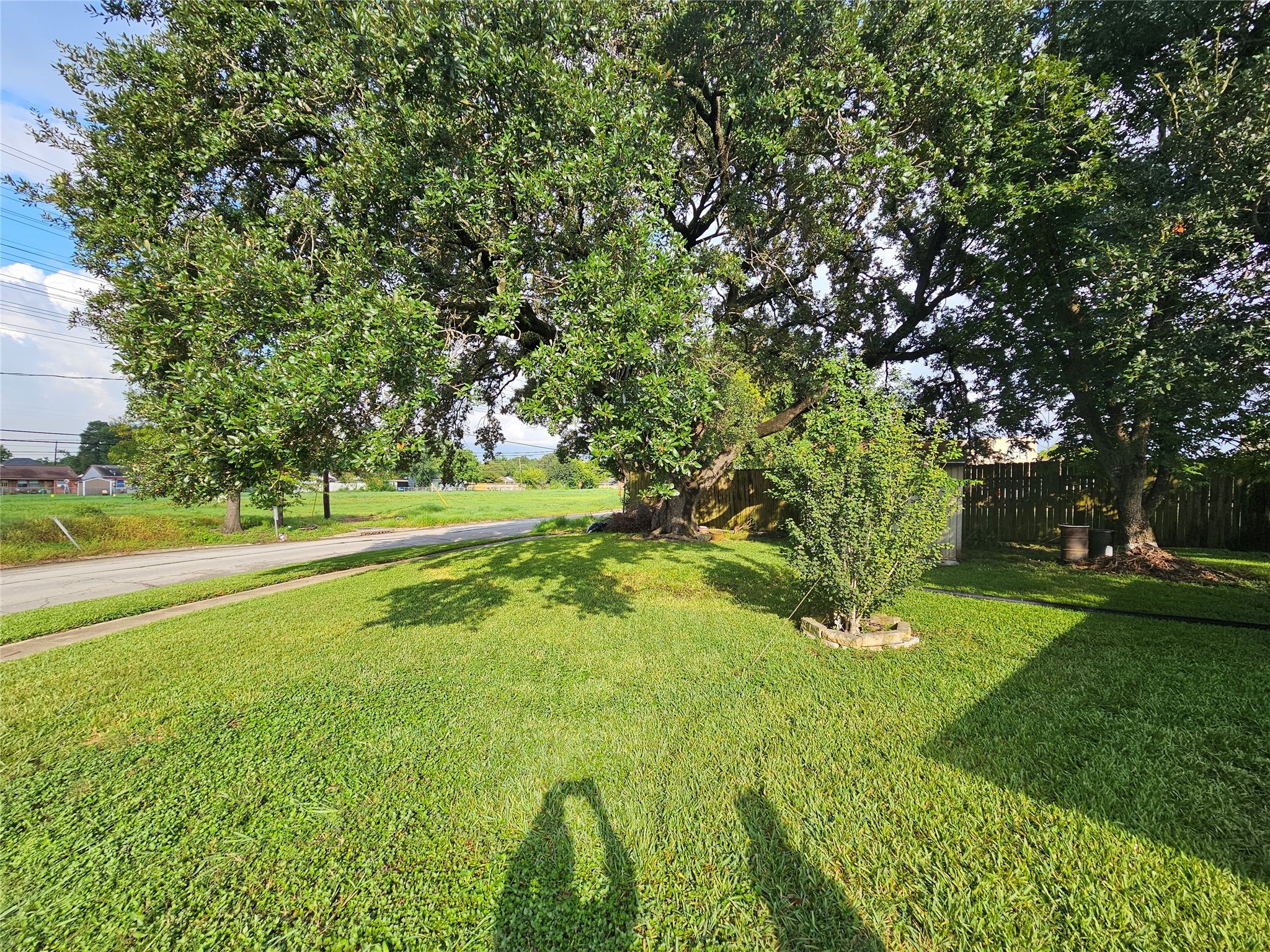 201 Delta Street Pasadena, TX 77506 - Photo 7 of 19 a view of field with large trees