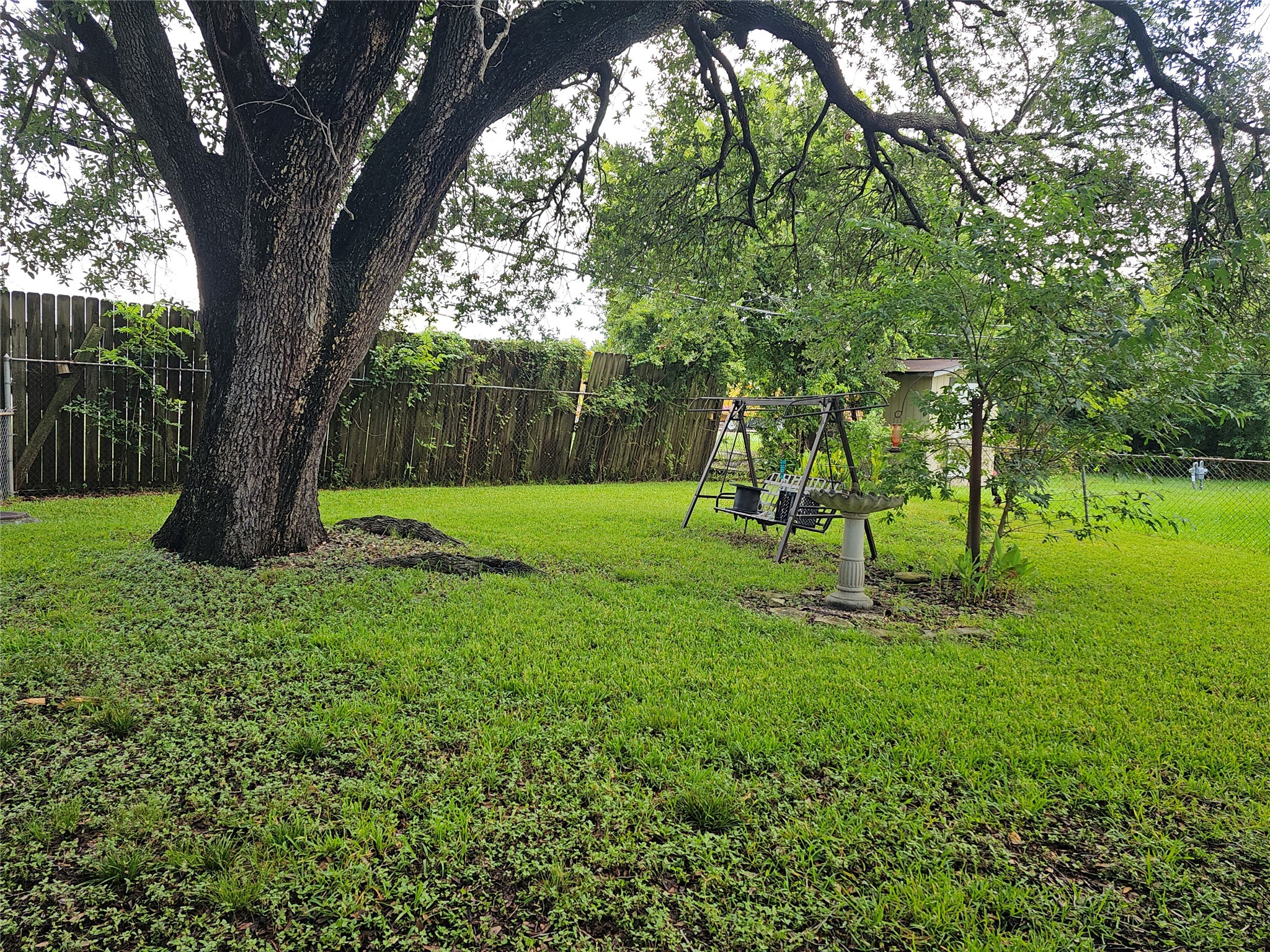 201 Delta Street Pasadena, TX 77506 - Photo 8 of 19 a view of a backyard with a tree