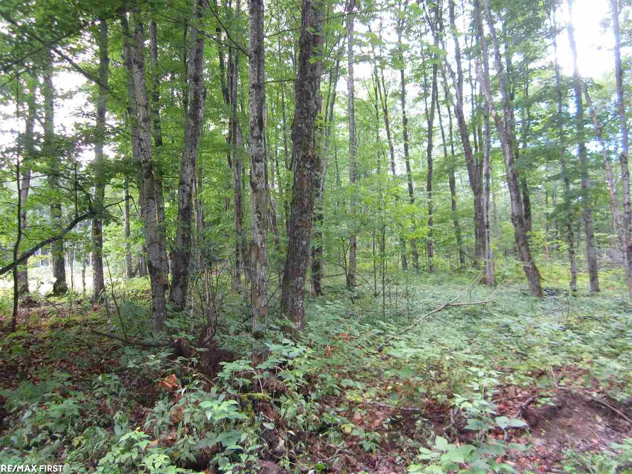 11326 South Hulbert Road Hulbert, MI 49748 - Photo 28 of 43