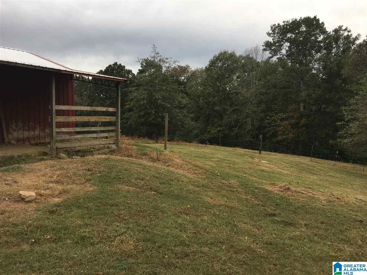 424 County Road 764 Cullman, AL 35055 - Photo 6 of 26
