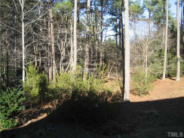 2821 Croix Place Raleigh, NC 27614 - Photo 2 of 19 Back Yard