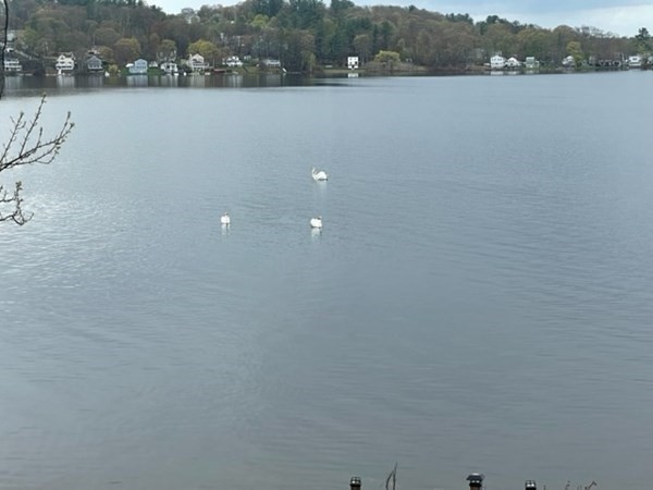 66B Lake Attitash Road Amesbury, MA 01913 - Photo 33 of 37 Gallery Image 33