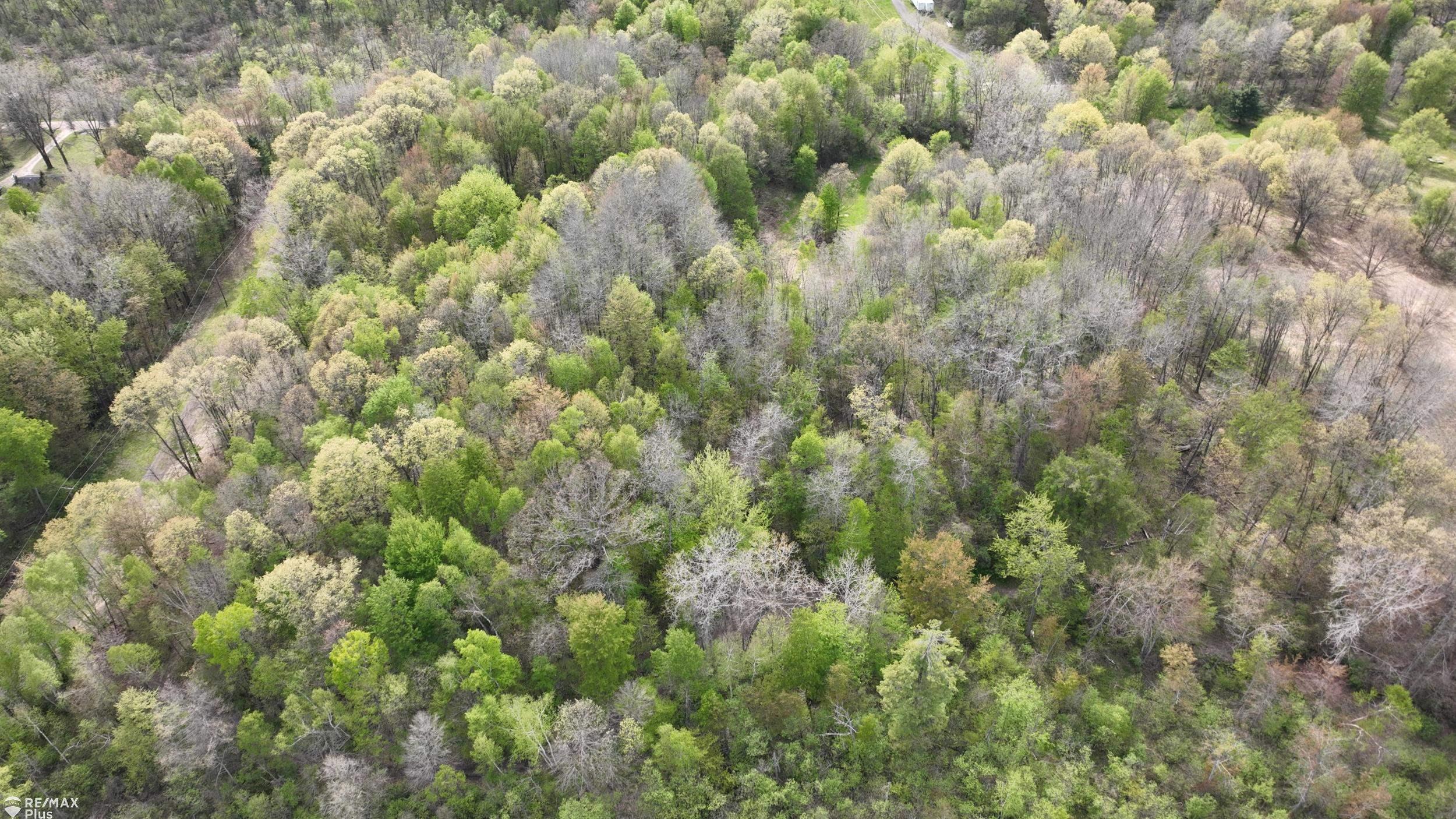 0 Miller Lake Road Columbiaville, MI 48421 - Photo 28 of 33