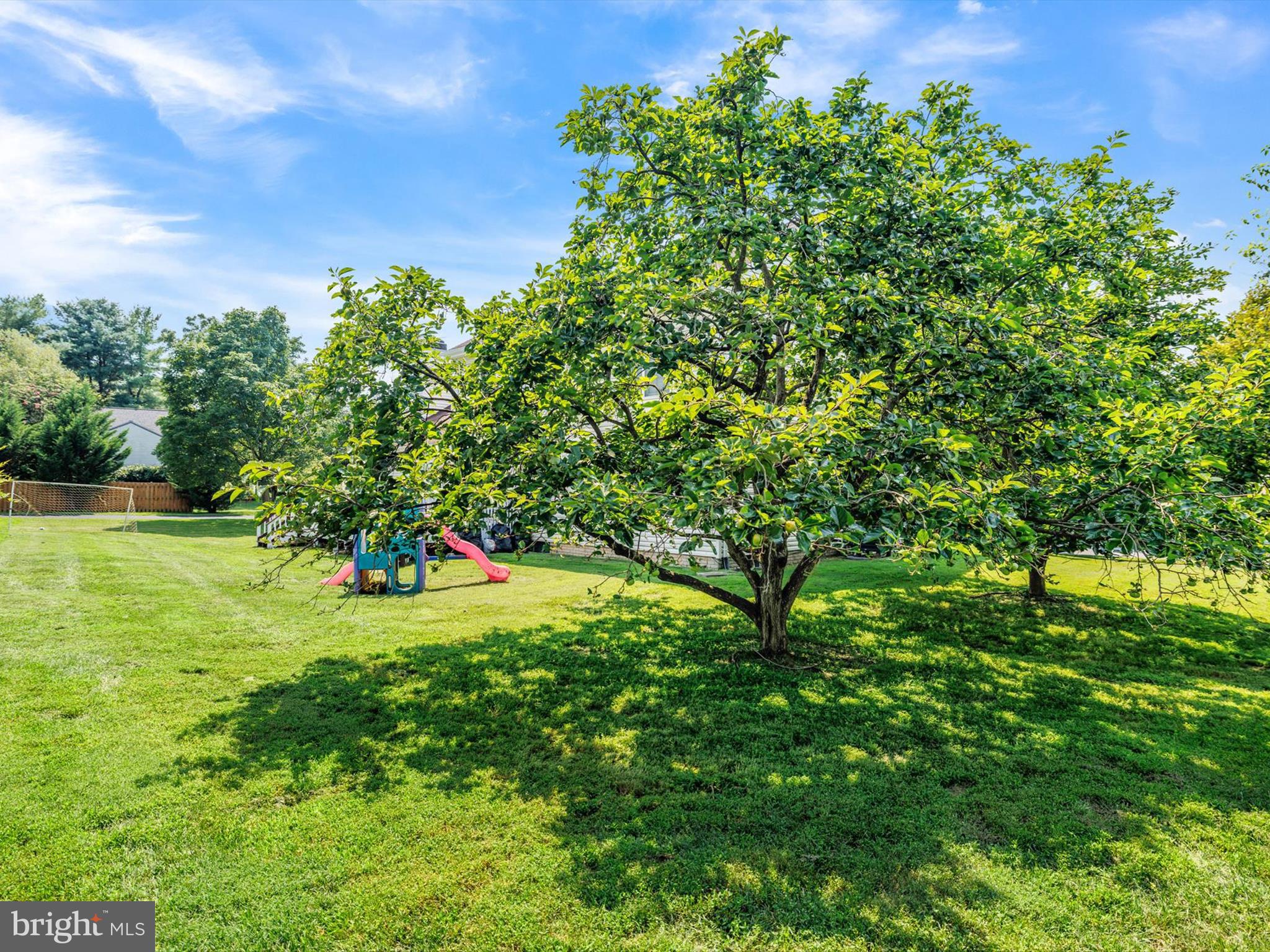 9991 Old Mill Road Ellicott City, MD 21042 - Photo 59 of 78 Gallery Image 59