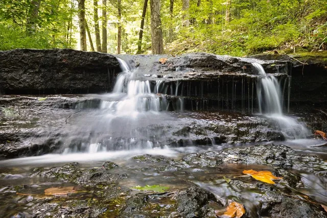 $499,000 | 208 Kro Hollow Road, Hohenwald, TN 38462