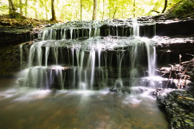 $499,000 | 208 Kro Hollow Road, Hohenwald, TN 38462