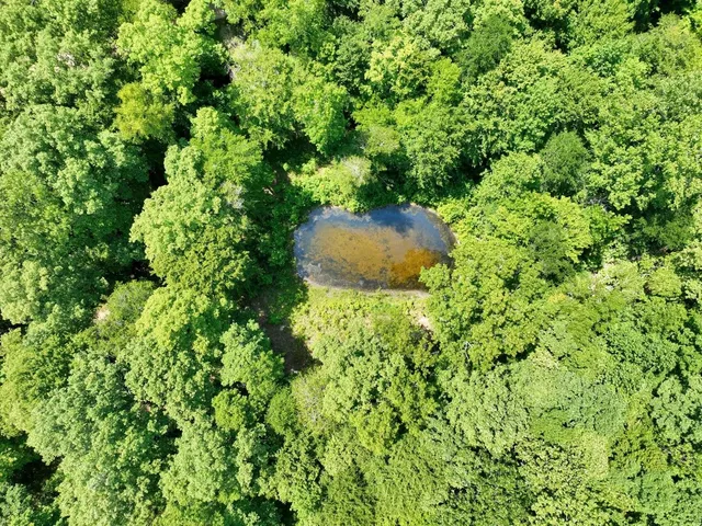 $499,000 | 208 Kro Hollow Road, Hohenwald, TN 38462