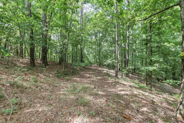 $499,000 | 208 Kro Hollow Road, Hohenwald, TN 38462