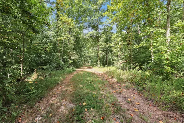 $499,000 | 208 Kro Hollow Road, Hohenwald, TN 38462