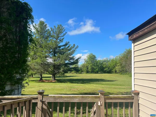 a view of a big yard with a large trees