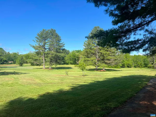 a view of a yard with a trees