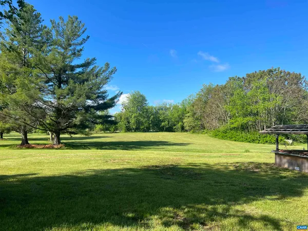 a big yard with lots of trees in it