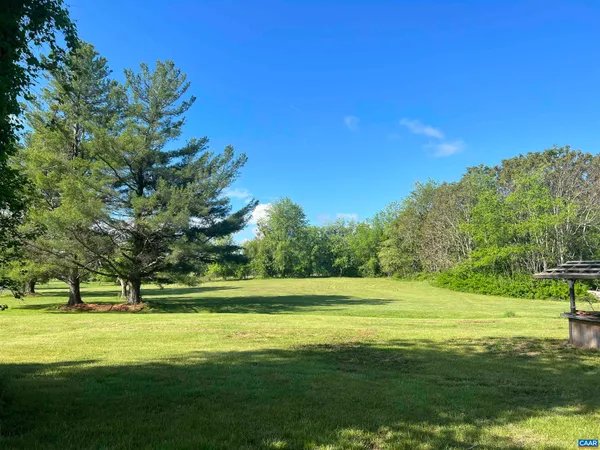 a view of a yard with a large trees
