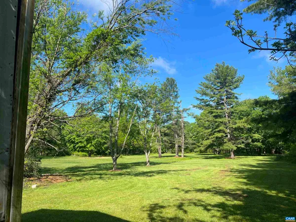 a view of a trees in a yard