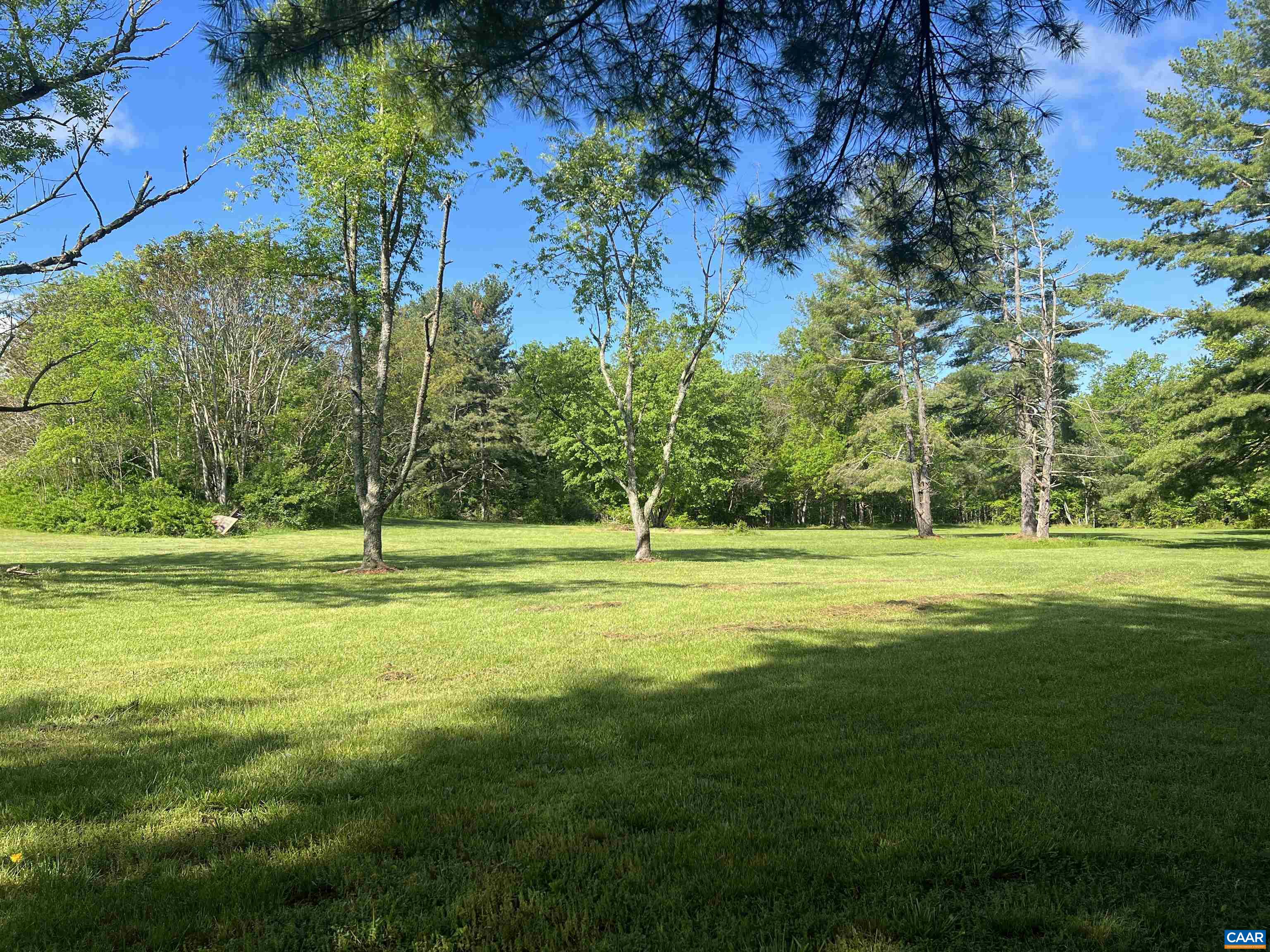 19 Mathews Lane Lyndhurst, VA 22952 - Photo 27 of 70 a view of a park with large trees