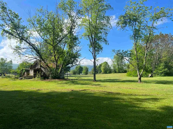 a view of a big yard with trees