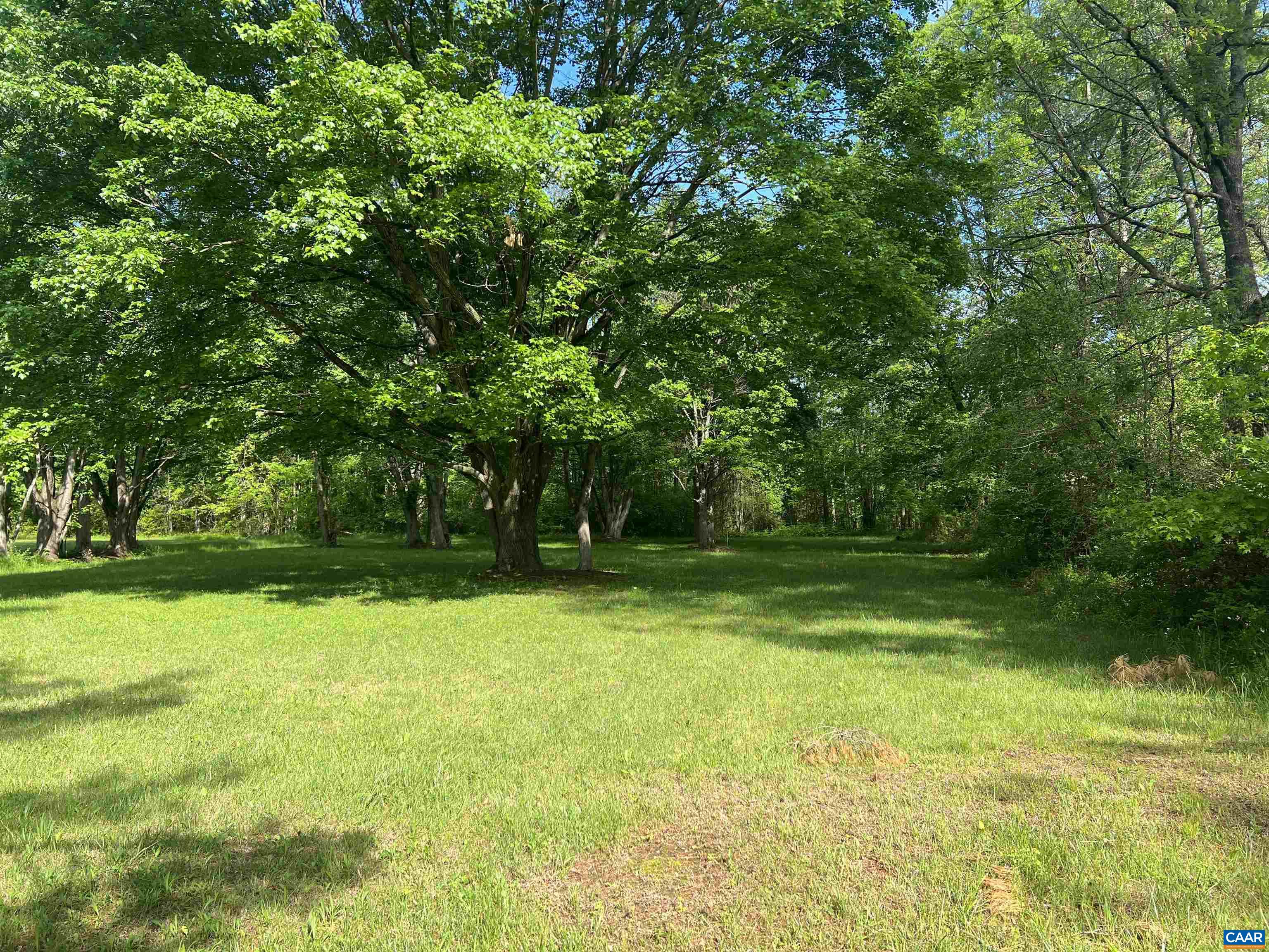 19 Mathews Lane Lyndhurst, VA 22952 - Photo 32 of 70 a view of a yard with a trees
