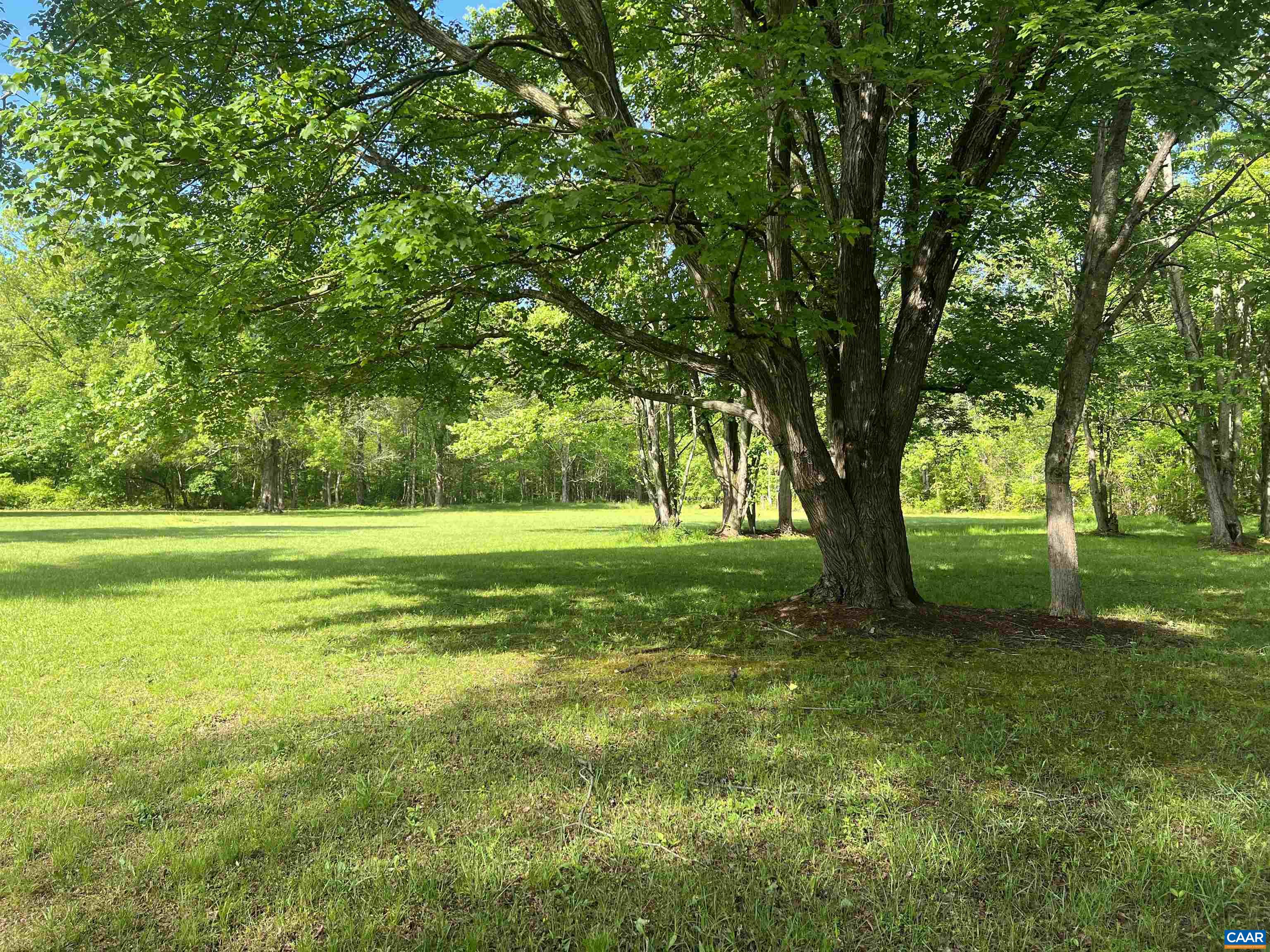 19 Mathews Lane Lyndhurst, VA 22952 - Photo 33 of 70 a view of a yard with a large trees