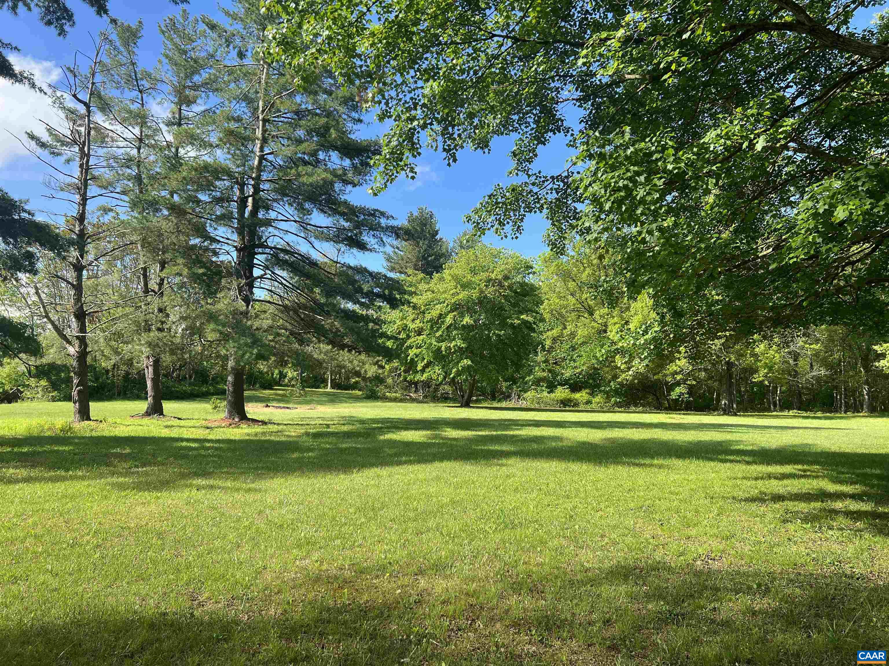 19 Mathews Lane Lyndhurst, VA 22952 - Photo 34 of 70 a big yard with lots of trees in it
