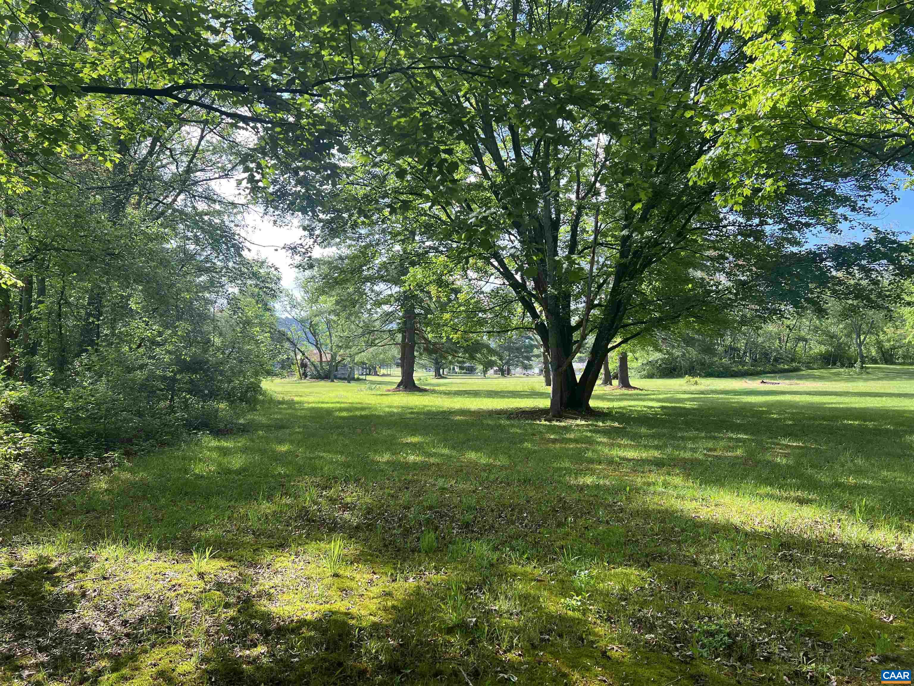 19 Mathews Lane Lyndhurst, VA 22952 - Photo 35 of 70 a view of a yard with a large trees