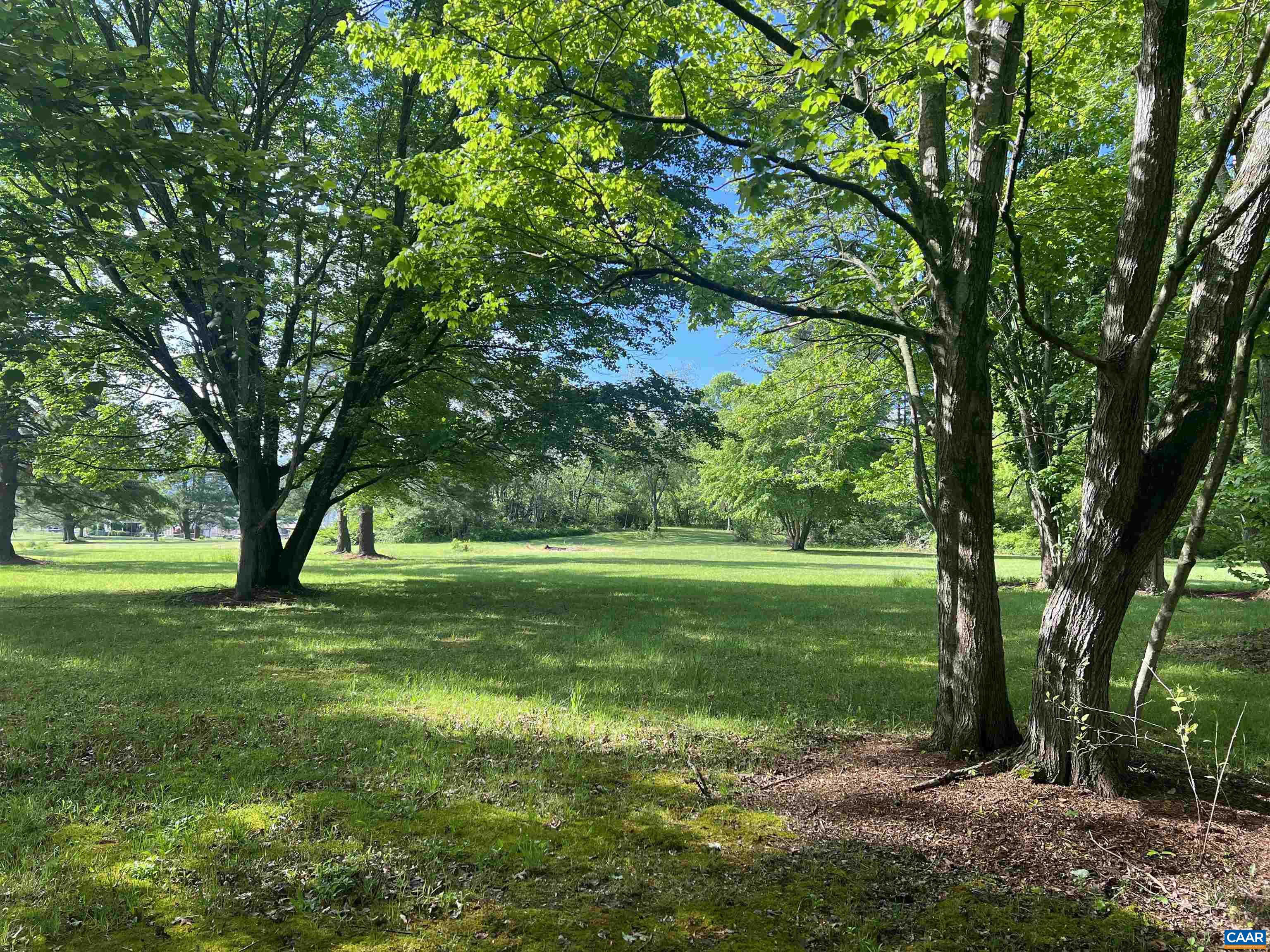 19 Mathews Lane Lyndhurst, VA 22952 - Photo 36 of 70 a view of a trees in a yard