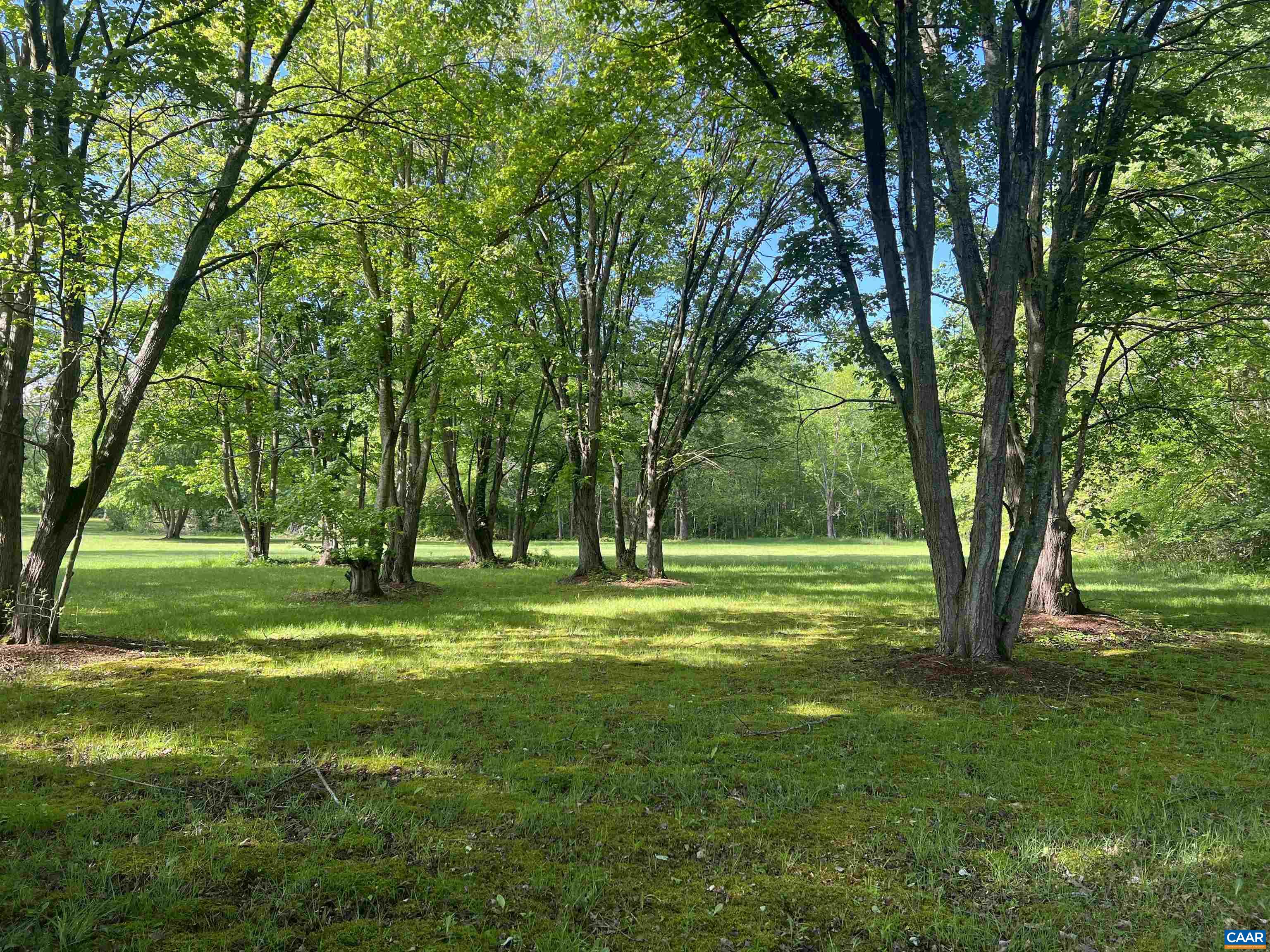 19 Mathews Lane Lyndhurst, VA 22952 - Photo 37 of 70