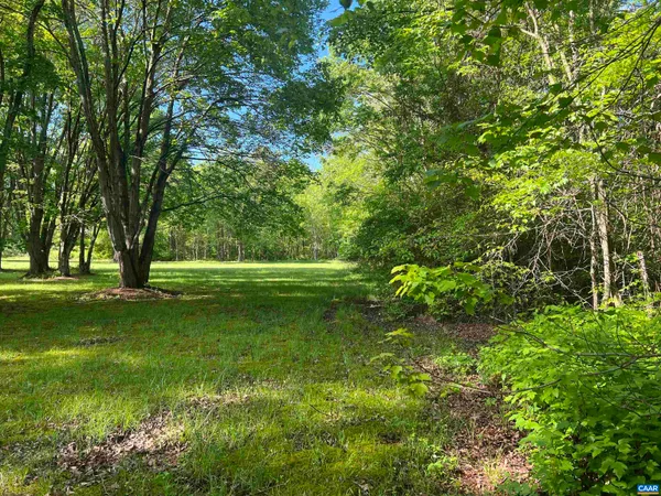 a view of a grassy field with trees