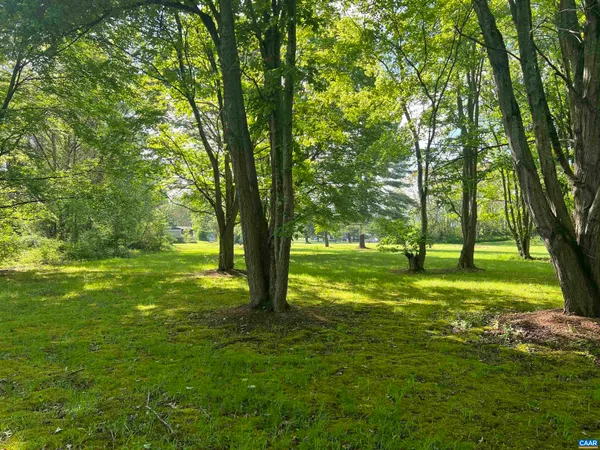 a view of yard with swimming pool and green space